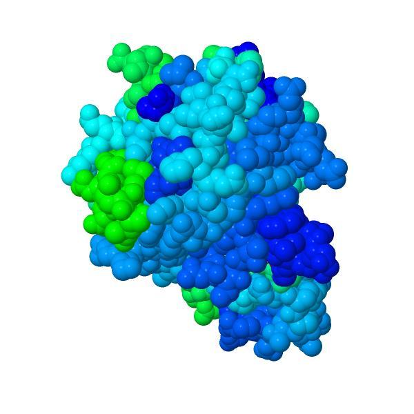ТРИДИМЕНЗИОНАЛНА СТРУКТУРА НА ПРОТЕИН Секој протеин има специфична хемиска или структурна функција, според тоа секој протеин има единствена тридимензионална структура. 1.