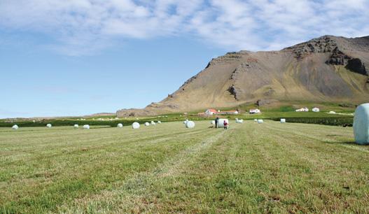 Árgangurinn kostar kr. 6.600 en sjötugir og eldri og lífeyrisþegar greiða kr. 3.300. Bændablaðið er í eigu Bændasamtaka Íslands. Bændablaðið, Bændahöll við Hagatorg, 107 Reykjavík.