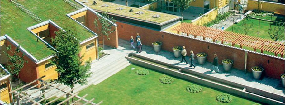 Εικόνα 4.2.2: Πράσινες σκεπές στην περιοχή Augustenborg Πηγή: http://malmo.se/english.
