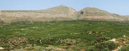 Δίκτυο NATURA 2000, Υπηρεσίες Οικοσυστημάτων Ορεινών Περιοχών της Κρήτης Κύριος στόχος της Οδηγίας 92/43/ΕΟΚ είναι η προστασία της βιολογικής ποικιλότητας μέσω της διατήρησης των φυσικών οικοτόπων