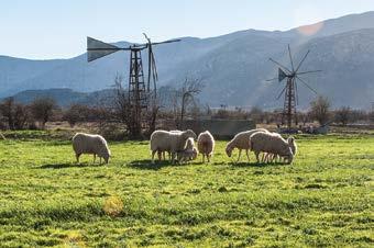 Εδαφογένεση. Παραγωγή οξυγόνου. Ανακύκλωση θρεπτικών συστατικών του εδάφους. Υψηλή βιοποικιλότητα.