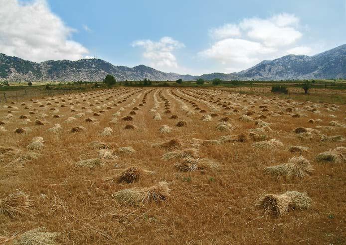 Δίκτυο NATURA 2000, Υπηρεσίες Οικοσυστημάτων Ορεινών Περιοχών της Κρήτης Τα σπήλαια και οι κορυφές έχουν παραμείνει ιεροί τόποι έως και στις μέρες μας.