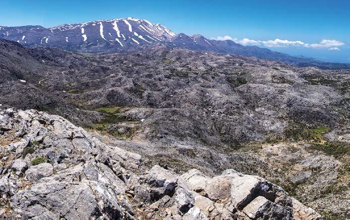 3 Υπηρεσίες Οικοσυστημάτων και Δίκτυο NATURA 2000 Περιφερειακή Εν