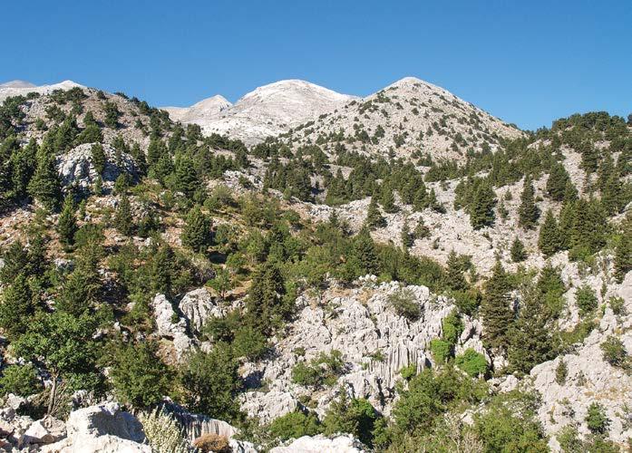 Δίκτυο NATURA 2000, Υπηρεσίες Οικοσυστημάτων Ορεινών Περιοχών της Κρήτης Περιφερειακή Εν