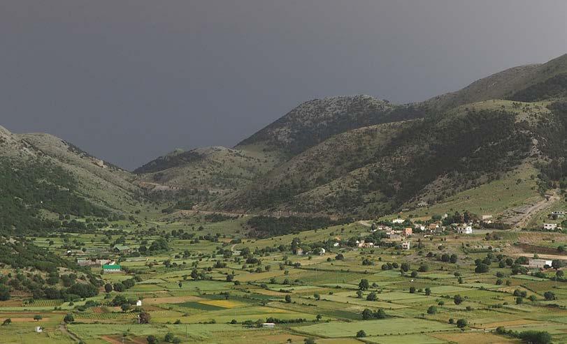 4ΘΕΣΕΙΣ ΕΡΓΑΣΙΑΣ ΚΑΙ ΕΥΚΑΙΡΙΕΣ ΑΠΑΣΧΟΛΗΣΗΣ Οι αγροτικές περιοχές στα ορεινά της Κρήτης χαρακτηρίζονται από μείωση του πληθυσμού και περιορισμό των εισοδημάτων στον γεωργικό και κτηνοτροφικό τομέα.
