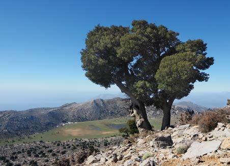 5 Κύριες Μορφές Εναλλακτικού Τουρισμού