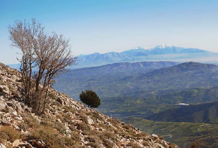 Ασίτες) προς τα ανατολικά.