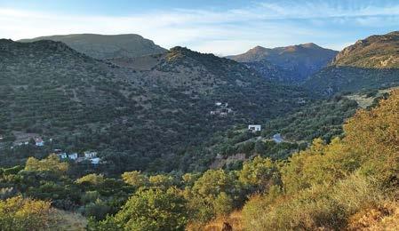 Εθνικός Δρυμός