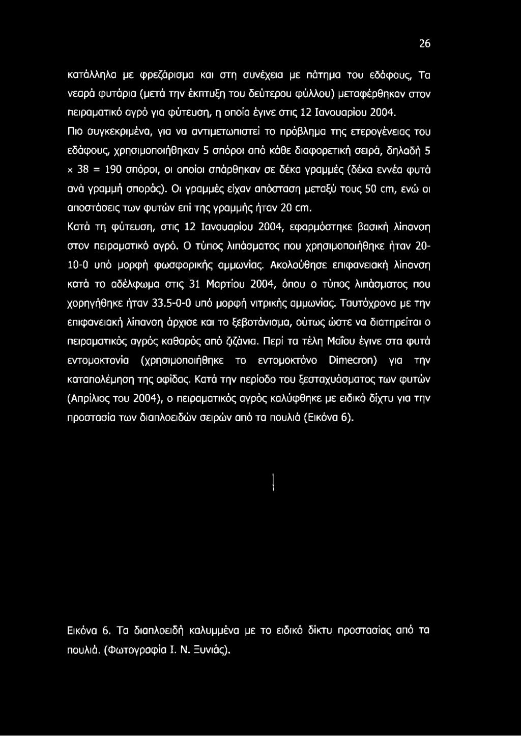 Πιο συγκεκριμένα, για να αντιμετωπιστεί το πρόβλημα της ετερογένειας του εδάφους, χρησιμοποιήθηκαν 5 σπόροι από κάθε διαφορετική σειρά, δηλαδή 5 χ 38 = 190 σπόροι, οι οποίοι σπάρθηκαν σε δέκα γραμμές