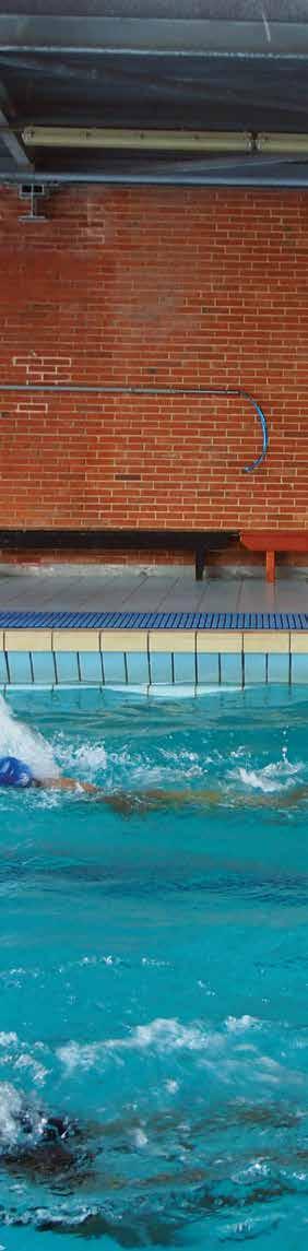 Schüler/Innen konnten wieder einmal ihre Fähigkeiten im Schwimmen beweisen und nahmen mit großer Begeisterung an den Disziplinen Kraul-, Rücken-, Brust-, Delphin- und Lagenschwimmen teil.