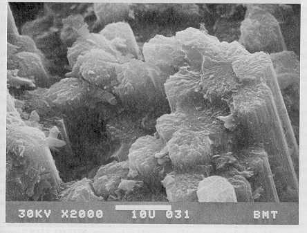 Typical microstructures of fractured