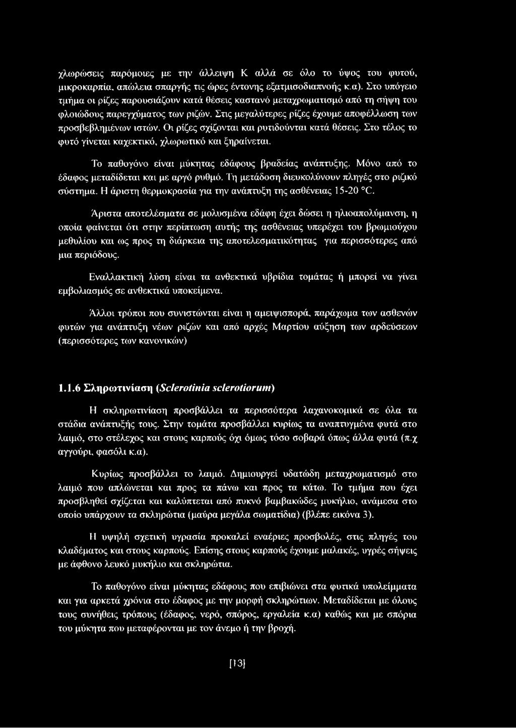 Οι ρίζες σχίζονται και ρυτιδούνται κατά θέσεις. Στο τέλος το φυτό γίνεται καχεκτικό, χλωρωτικό και ξηραίνεται. Το παθογόνο είναι μύκητας εδάφους βραδείας ανάπτυξης.