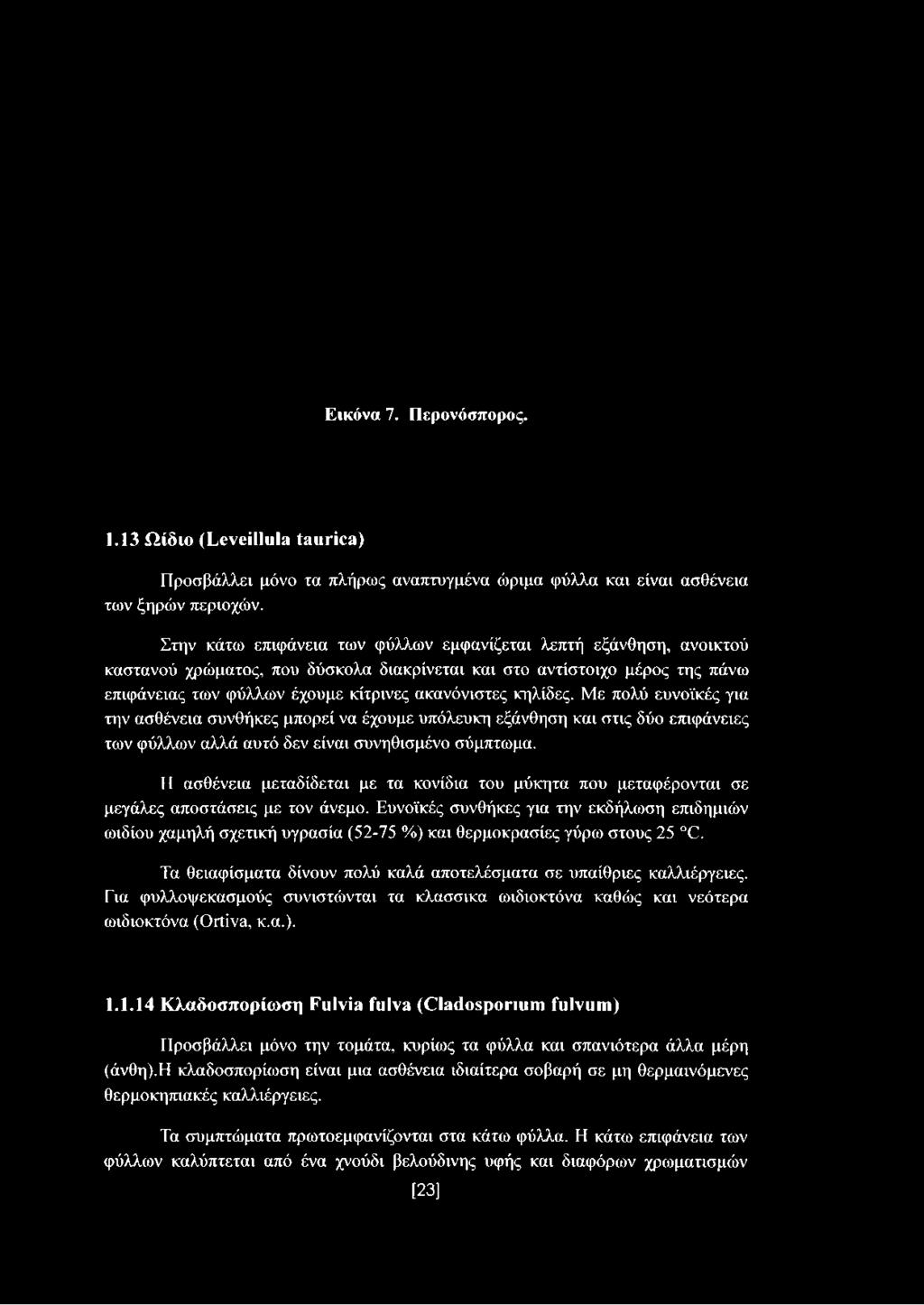 κηλίδες. Με πολύ ευνοϊκές για την ασθένεια συνθήκες μπορεί να έχουμε υπόλευκη εξάνθηση και στις δύο επιφάνειες των φύλλων αλλά αυτό δεν είναι συνηθισμένο σύμπτωμα.