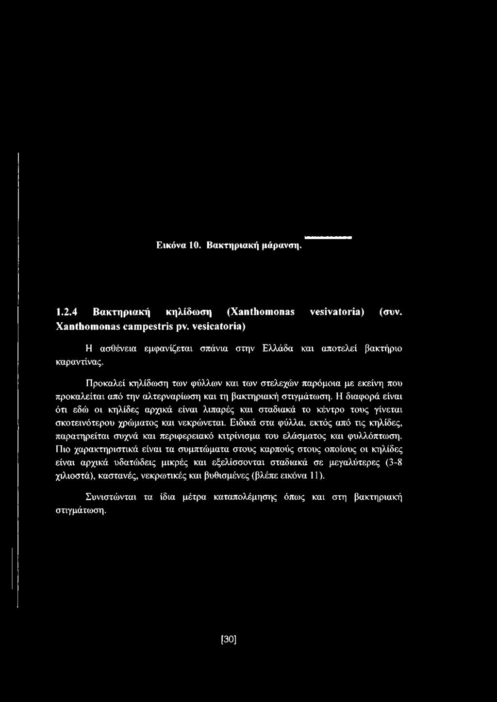 Προκαλεί κηλίδωση των φύλλων και των στελεχών παρόμοια με εκείνη που προκαλείται από την αλτερναρίωση και τη βακτηριακή στιγμάτωση.