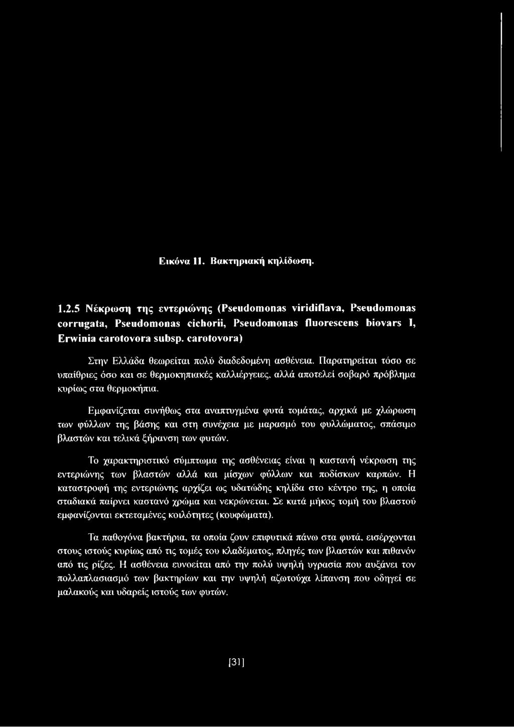 Εμφανίζεται συνήθως στα αναπτυγμένα φυτά τομάτας, αρχικά με χλώρωση των φύλλων της βάσης και στη συνέχεια με μαρασμό του φυλλώματος, σπάσιμο βλαστών και τελικά ξήρανση των φυτών.