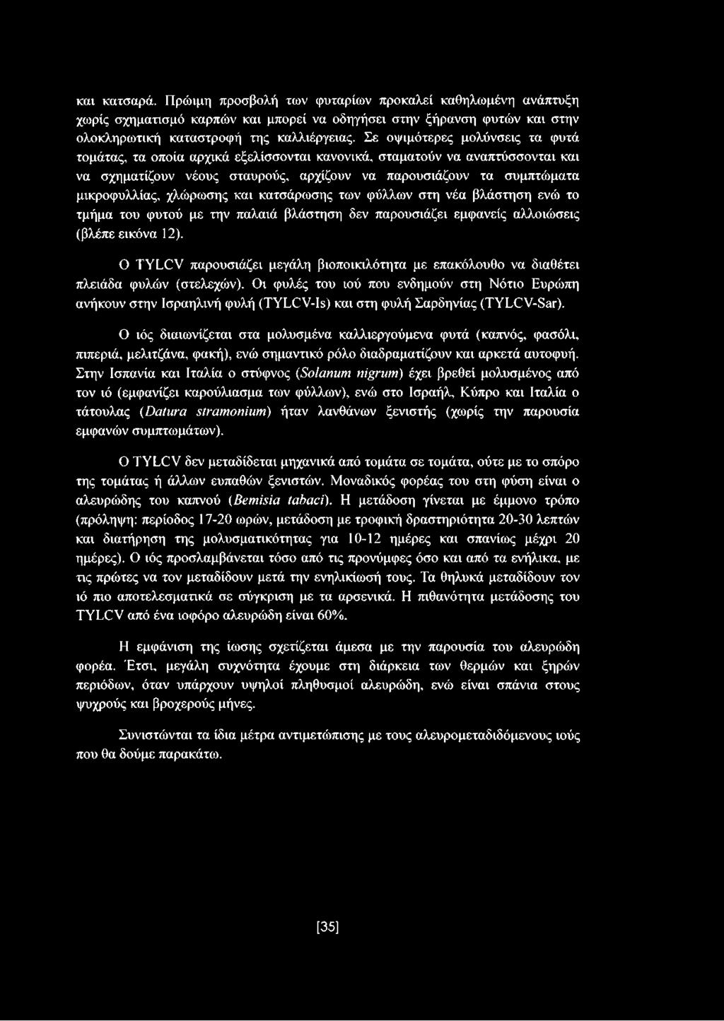 χλώρωσης και κατσάρωσης των φύλλων στη νέα βλάστηση ενώ το τμήμα του φυτού με την παλαιά βλάστηση δεν παρουσιάζει εμφανείς αλλοιώσεις (βλέπε εικόνα 12).