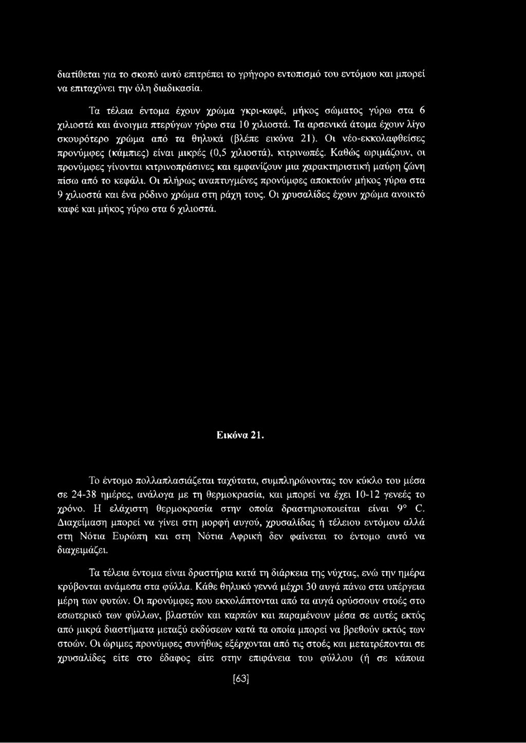 Οι νέο-εκκολαφθείσες προνύμφες (κάμπιες) είναι μικρές (0,5 χιλιοστά), κιτρινωπές.