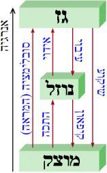 המצב הנוזלי-אידוי ועיבוי: באידוי חלק מהמולקולות בעלות אנרגיה מספיק גדולה להתגבר על כוחות המשיכה הבין- מולקולאריים והן עוזבות את פאזת הנוזל ועוברות לפאזה הגזית בתהליך האידוי.