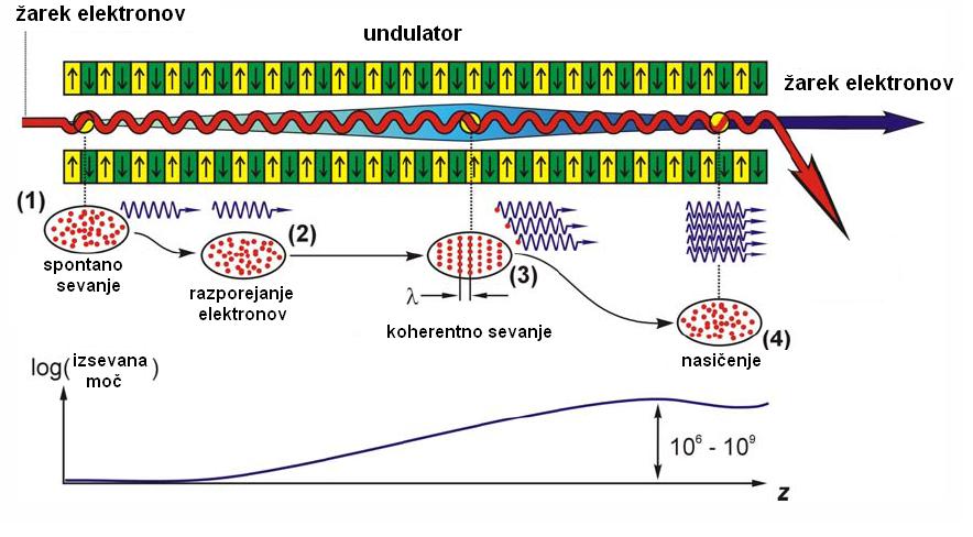 7 VELIKO OJAČANJE 17 SASE: Self-Amplified-Spontaneous-Emission Za izvedbo takšnega laserja sta potrebna dolg undulator in velika gostota elektronov v žarku.