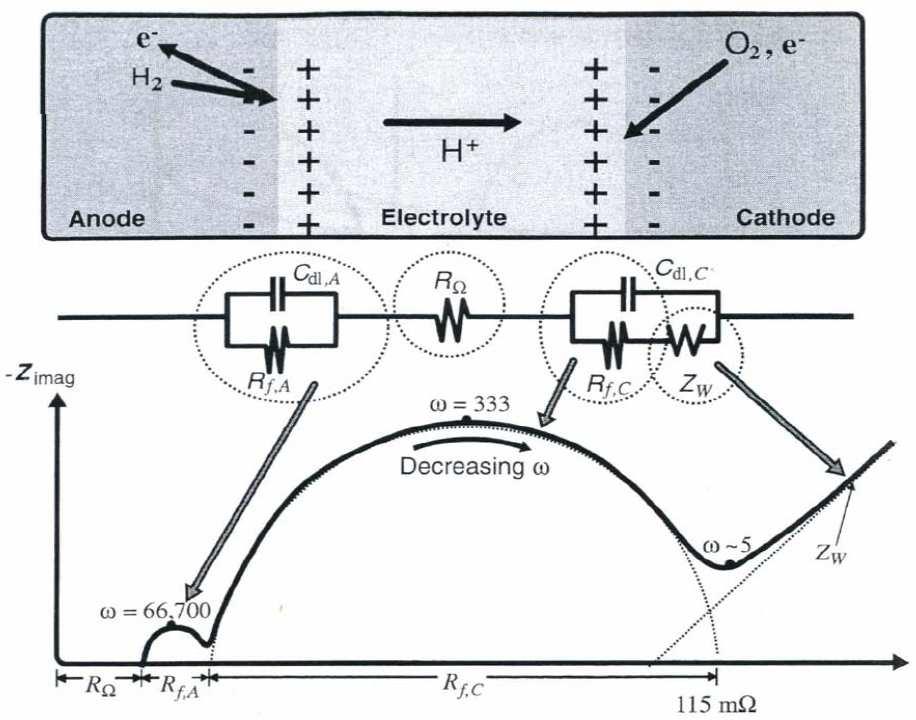5. Μοντελοποίηση κυψέλης καυσίµου Σε πολύ υψηλές συχνότητες ο πυκνωτής λειτουργεί ως βραχυκύκλωµα και η σύνθετη αντίσταση του κυκλώµατος Larminie Dicks γράφεται: Z RC ( ω) = R (5-33) ω Εποµένως, οι