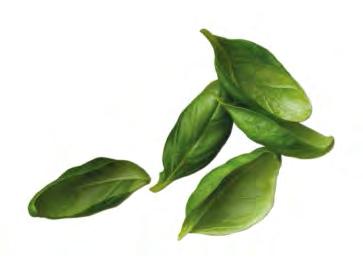 65 )