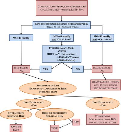 M.-A. Clavel et al.