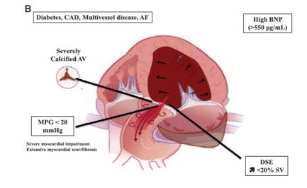 Heart Valve Clinic International Database