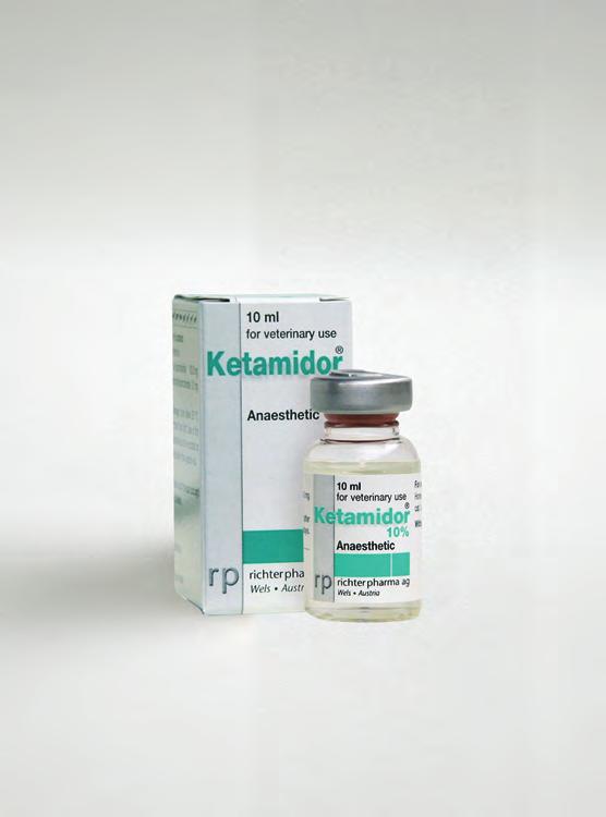 100mg/ml ketamidor RICHTER PHARMA Σύνθεση σε δραστικά συστατικά και άλλες ουσίες (ανά ml) Δραστικό (ά) Ketamine (as hydrochloride).