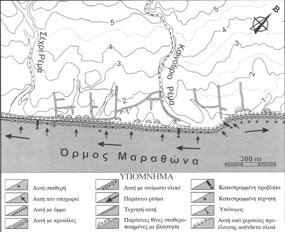 Όπως παρατηρήθηκε στην επιτόπια έρευνα αλλά και στον χάρτη, η ακτογραμμή του αλλουβιακού ριπιδίου του Οινόη είναι σχεδόν ευθεία.