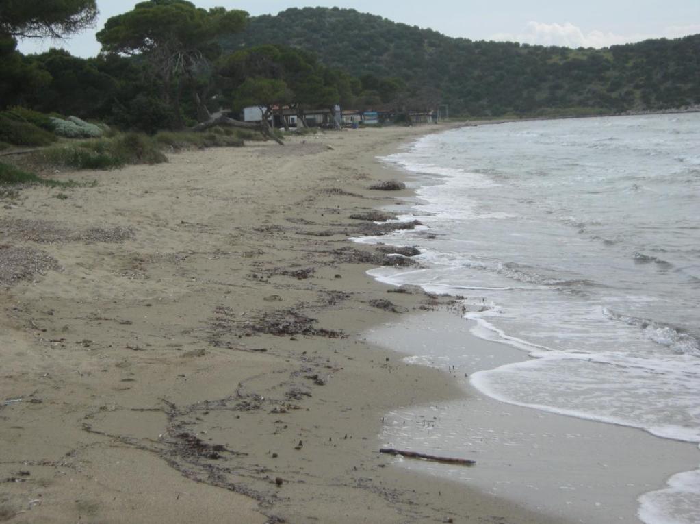 8.3 Ανάλυση τοπογραφικών τομών αιγιαλού εγκάρσια στην ακτογραμμή Όπως αναφέρθηκε και στην μεθοδολογία (Ενότητα 3), στην περιοχή μελέτης έγιναν 3 εγκάρσιες στην ακτογραμμή τοπογραφικές τομές αιγιαλού