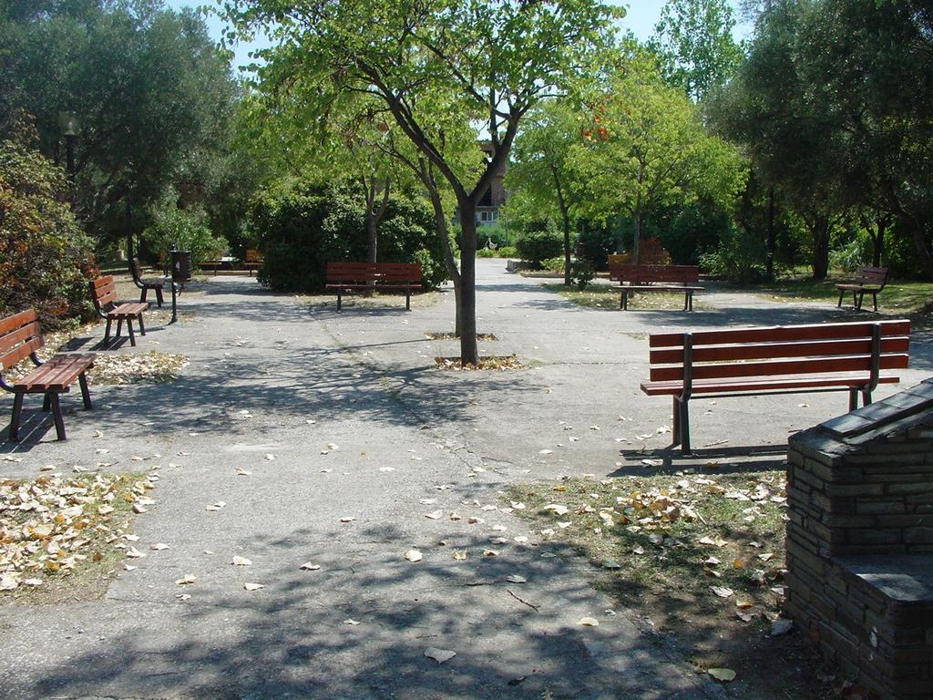 Φωτ.9 Γενική όψη στα δυτικά 1.