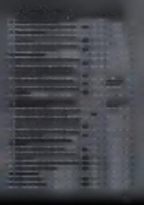 Τ.Ε.Ι. ΚΑΛΑΜΑΤΑΣ