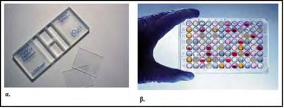 450 nm με φασματοφωτόμετρο ELISA plate reader (Biotek) και τη χρήση του λογισμικού Gen5 (Biotek).