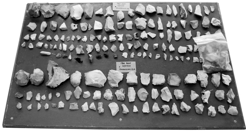 28 Nikos Efstratiou - Paolo Biagi Fig. 5. Stone artefacts from surface collection in the highlands of Pindus. Fig. 6. A levallois point of Middle Palaeolithic date. Fig. 7.