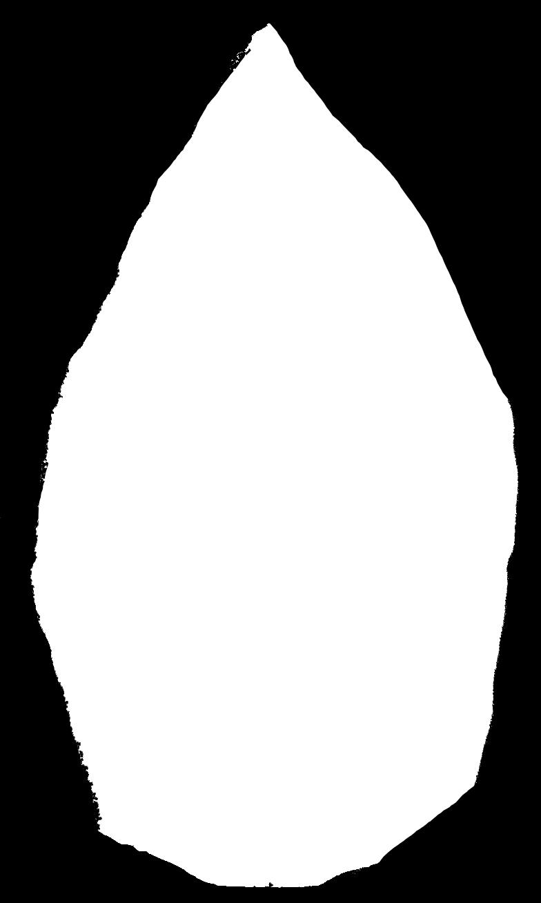 The surveyed highland (1800-2000m) areas of