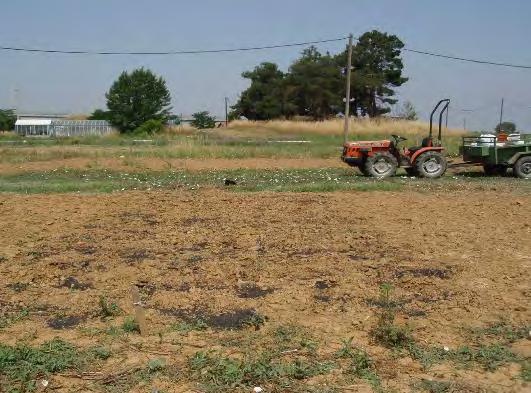 Κεφάλαιο 2 Υλικά και Μέθοδοι Εικόνα 2.