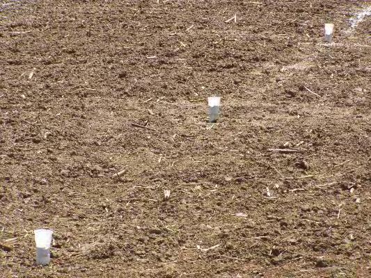 ΕΦΑΡΜΟΓΗ ΤΩΝ ΕΠΕΞΕΡΓΑΣΜΕΝΩΝ ΣΤΕΡΕΩΝ ΑΣΤΙΚΩΝ ΑΠΟΒΛΗΤΩΝ ΣΤΗ ΓΕΩΡΓΙΑ. ΕΠΙΔΡΑΣΗ ΣΤΗΝ ΑΡΔΕΥΣΗ, ΣΤΗΝ ΑΝΑΠΤΥΞΗ ΤΩΝ ΦΥΤΩΝ ΚΑΙ ΣΤΟ ΠΕΡΙΒΑΛΛΟΝ. Δ. Σ. ΔΗΜΑΚΑΣ Εικόνα 2.