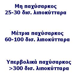στο μεγάλο μέγεθός τους Η