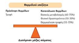 Πρόσληψη Κατανάλωση