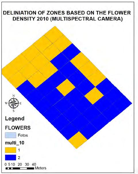Εικόνα 4.30. Χάρτες με δύο ζώνες διαχείρισης του οπωρώνα βασισμένος στο πλήθος των ανθέων Εικόνα 4.31.