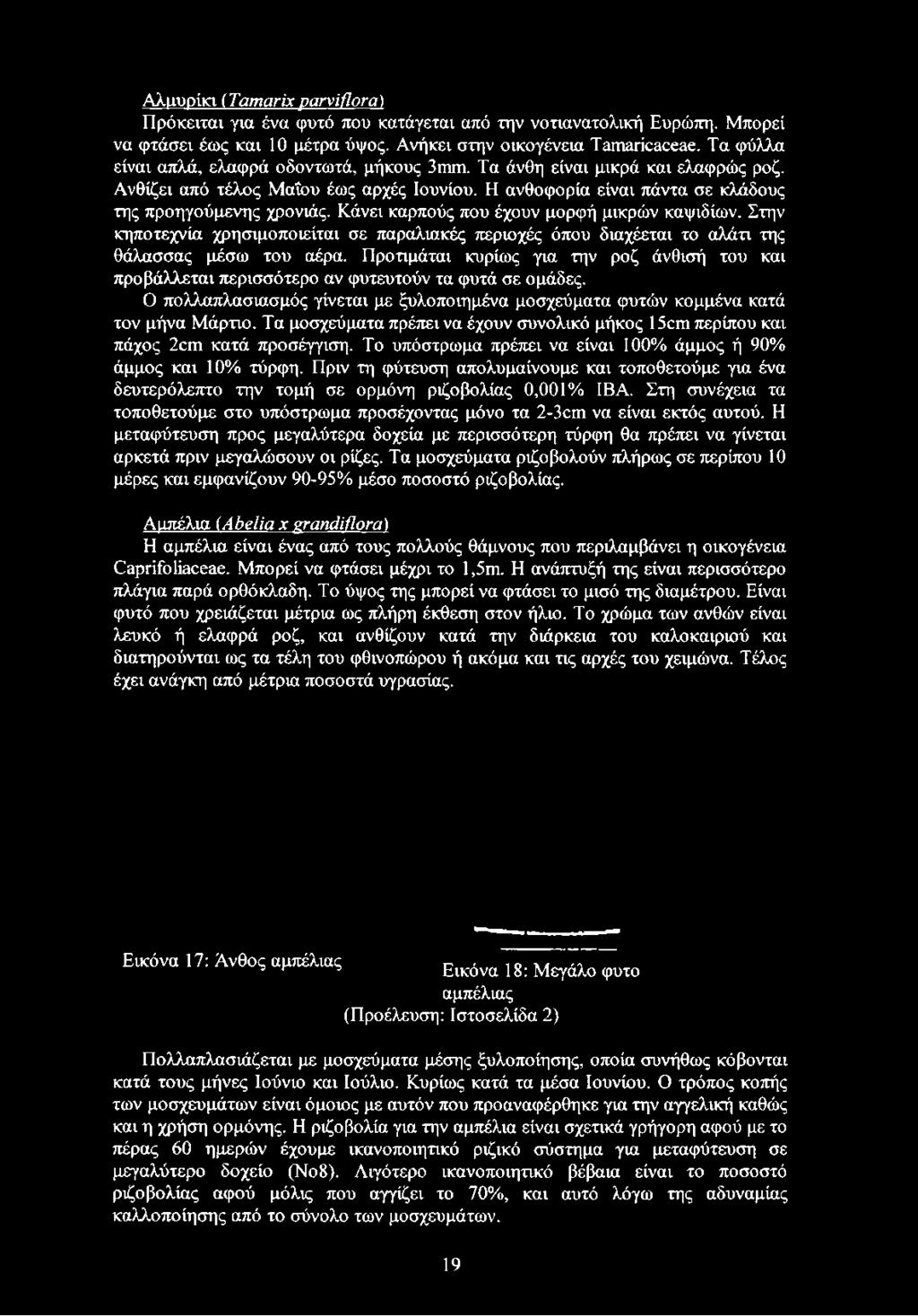 αρσενικό κάνει διαφημίσεις Δαρβίνος