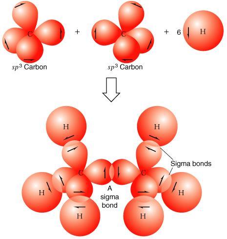 10-3-1- الدوران ظول الرابطة االظادية كربون- كربون: Free rotation about the carbon-carbon single bond: اليملك االيتان بنية وحيدة فالرابطة- σ الواصلة بين ذرتي كربون تكذون متنذا رة بالنسذبة إلذى الخذط