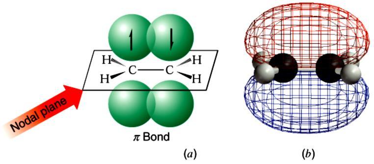 (a) A wedge-dashed wedge formula for the sigma bonds in ethene anda schematic depiction of the overlapping of adjacent p orbitals that form the bond. (b) A calculated structure for enthene.