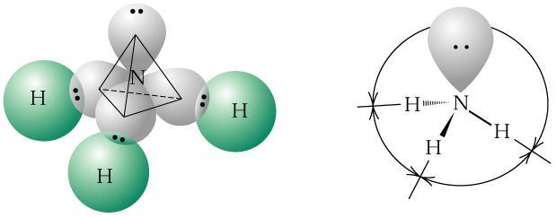 Ammonia The tetrahedral arrangement of the electron pairs of an ammonia molecule that results when the