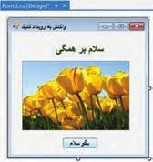 شکل 12 6 اضافه کردن یک جعبه تصویری کار در کارگاه 3: کار با جعبه تصویر مثال 3 ٦ : ایجاد فرمی با سه دکمه و یک جعبه تصویر
