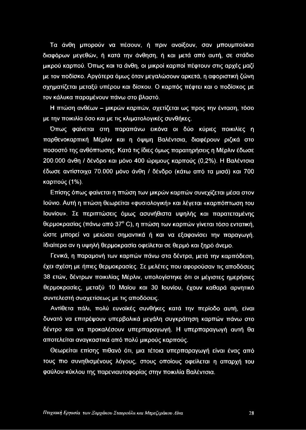 Ο καρπός πέφτει και ο ποδίσκος με τον κάλυκα παραμένουν πάνω στο βλαστό. Η πτώση ανθέων - μικρών καρπών, σχετίζεται ως προς την ένταση, τόσο με την ποικιλία όσο και με τις κλιματολογικές συνθήκες.