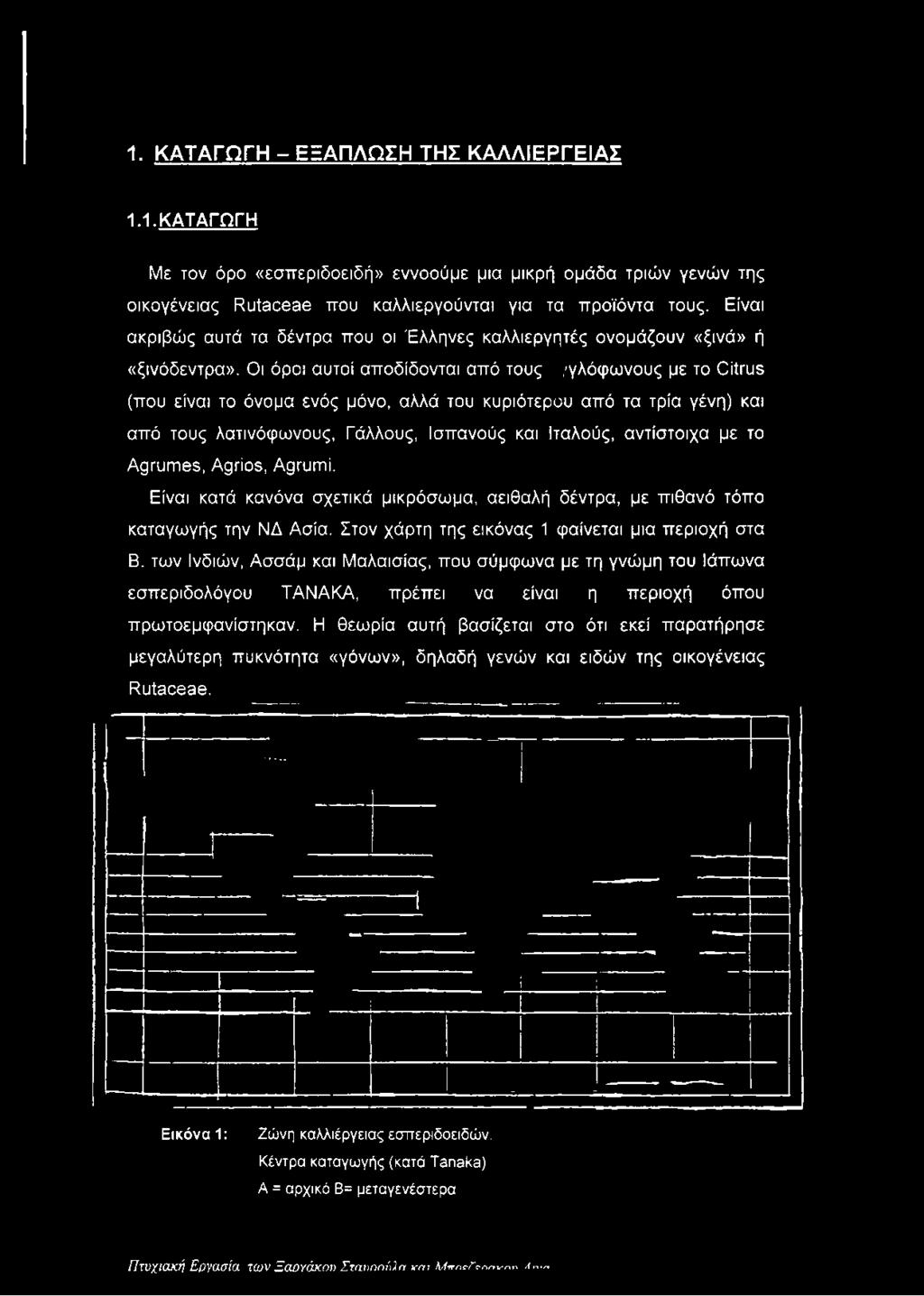 Οι όροι αυτοί αποδίδονται από τους /γλόφωνους με το Citrus (που είναι το όνομα ενός μόνο, αλλά του κυριότερου από τα τρία γένη) και από τους λατινόφωνους, Γάλλους, Ισπανούς και