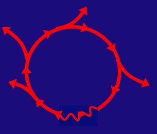 Activation Mapping -