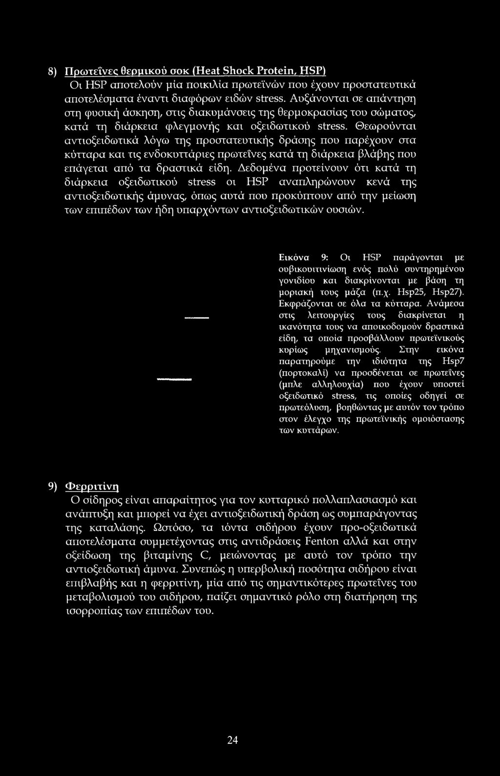 αντιοξειδωτικών ουσιών. Εικόνα 9: Οι HSP παράγονται με ουβικουιτινίωση ενός πολύ συντηρημένου γονιδίου και διακρίνονται με βάση τη μοριακή τους μάζα (π.χ. Hsp25, Hsp27). Εκφράζονται σε όλα τα κύτταρα.