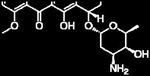 3 C N N P450 CH 3 2 reduktaza Reducirana NADP + citokrom + + H 3 C N N P450 CH 3 2 - reduktaza e -